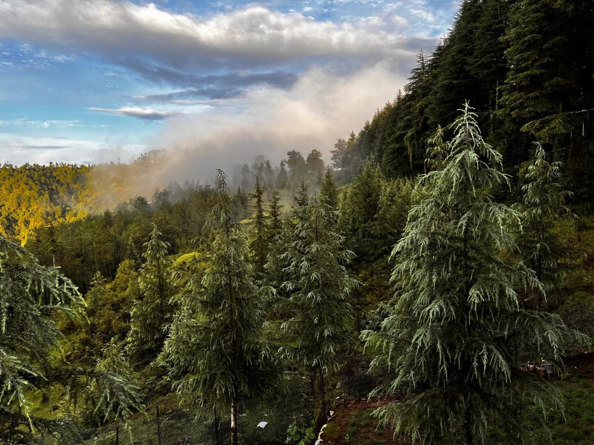 The Roots Homestay Almora Eksteriør bilde