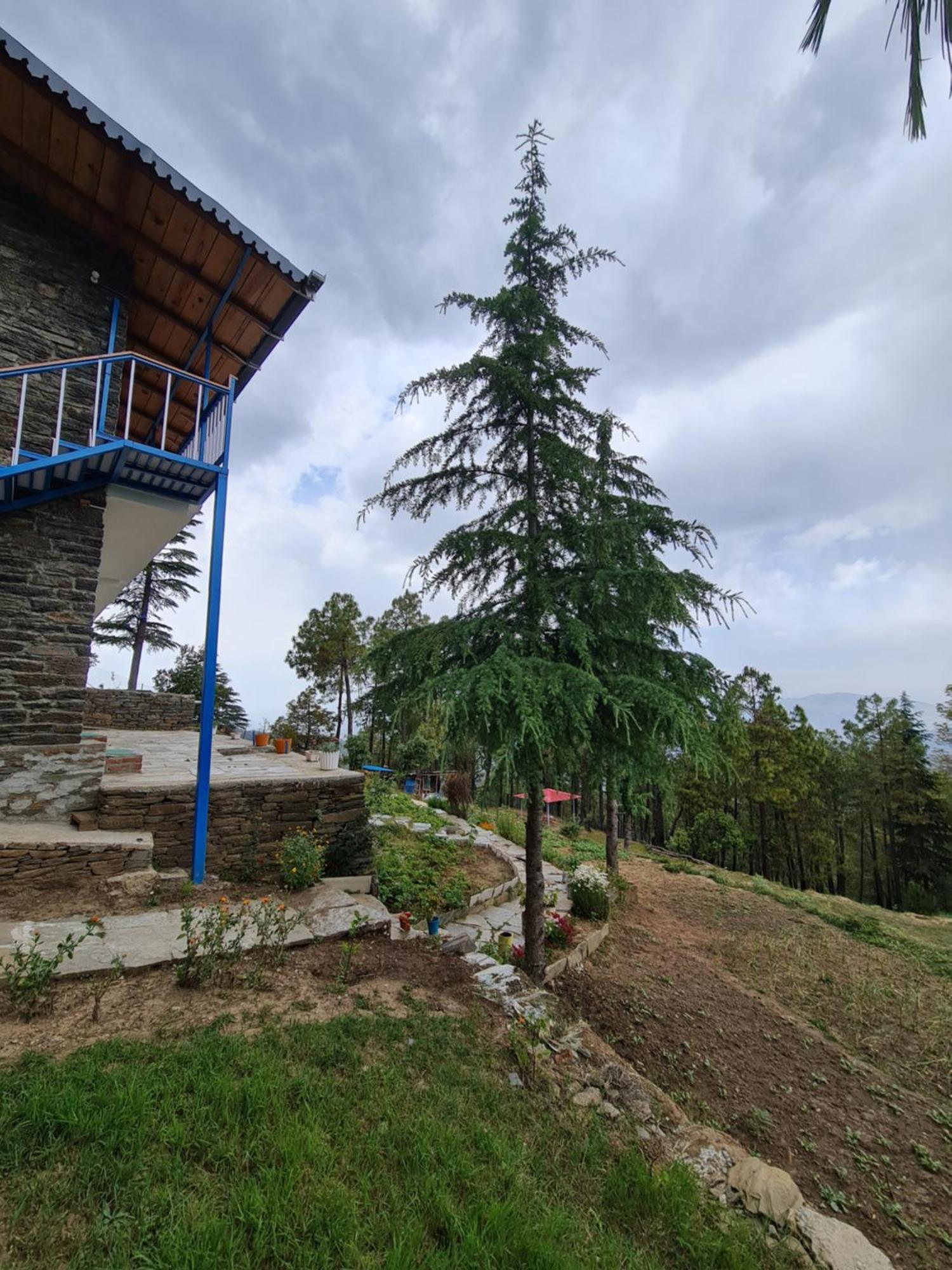The Roots Homestay Almora Eksteriør bilde